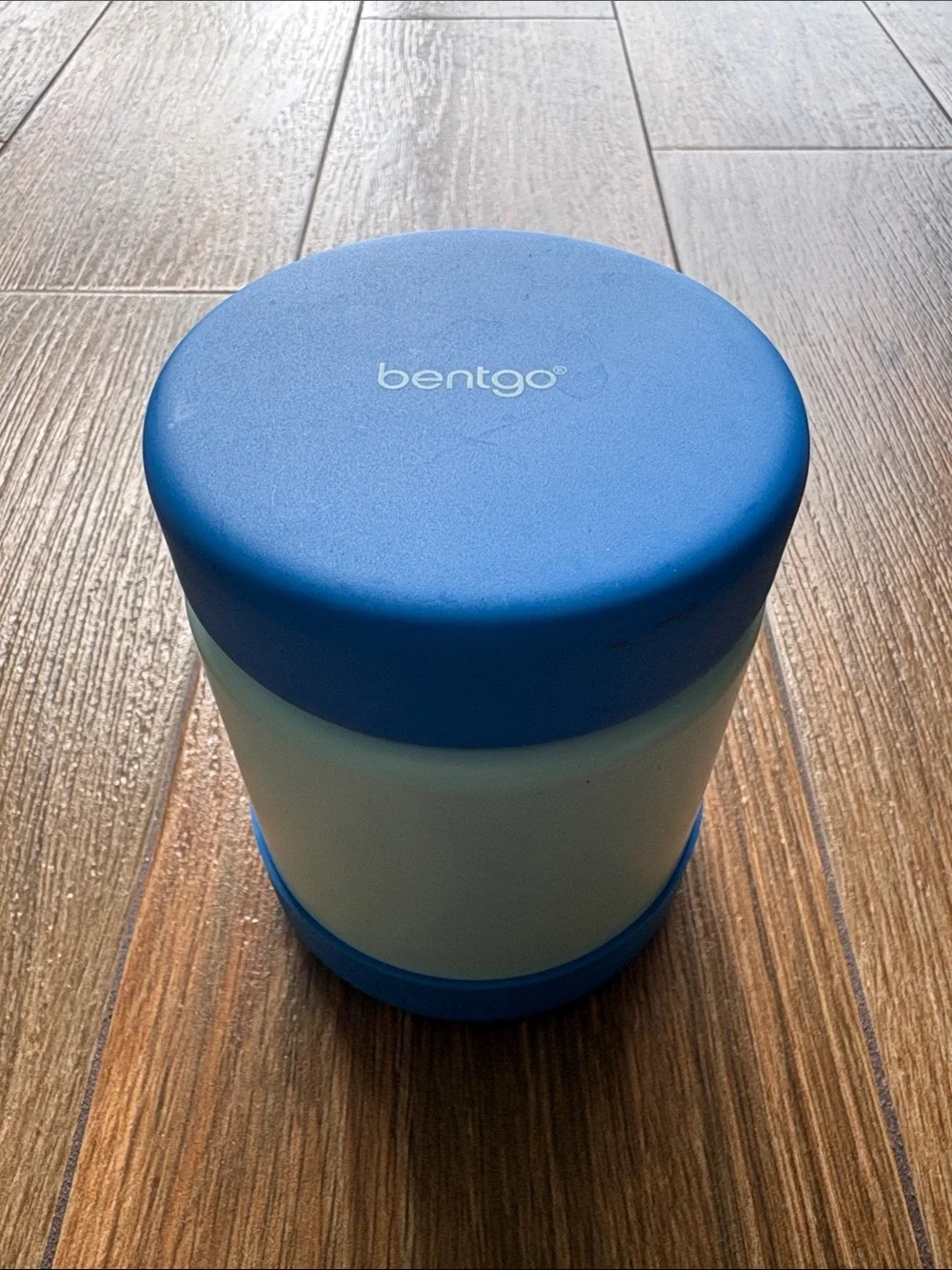 Bentgo Blue Insulated Food Container - Portable Meal Thermos